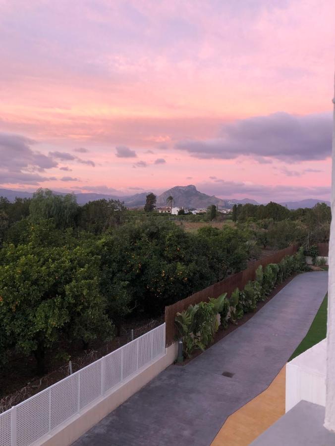 Sunny Apartment In Denia With Outdoor Swimming Pool And Garage Parking Place Included, 300M From The Sandy Beach Dış mekan fotoğraf